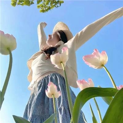 机器肉鸡第五季